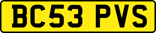 BC53PVS