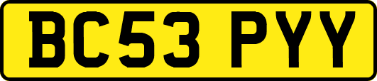 BC53PYY