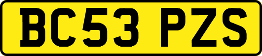 BC53PZS