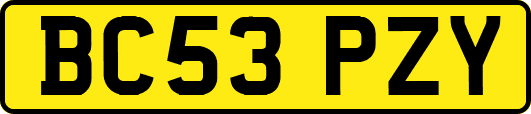 BC53PZY