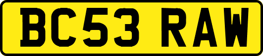 BC53RAW