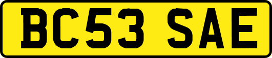 BC53SAE