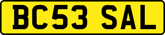 BC53SAL