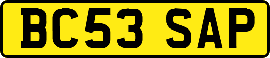 BC53SAP