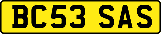 BC53SAS