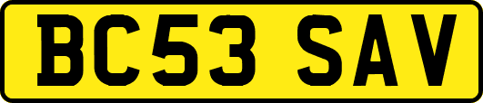 BC53SAV
