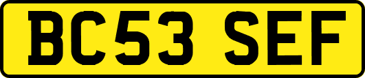 BC53SEF