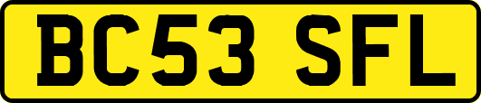 BC53SFL