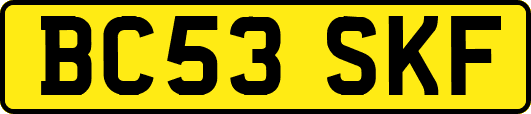 BC53SKF