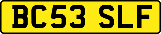 BC53SLF