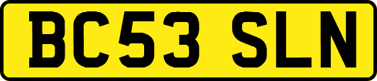 BC53SLN