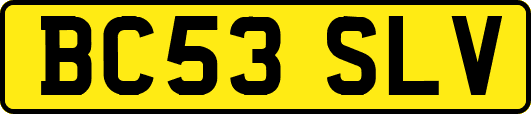 BC53SLV