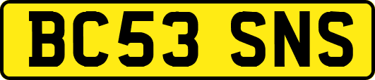 BC53SNS