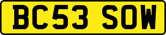 BC53SOW