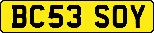 BC53SOY