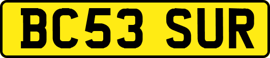 BC53SUR
