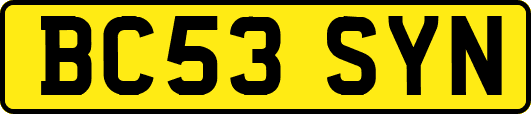 BC53SYN