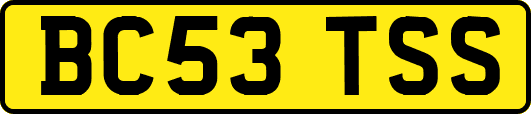 BC53TSS