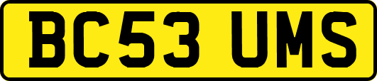 BC53UMS