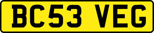 BC53VEG
