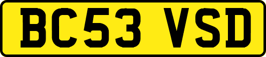 BC53VSD