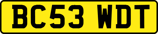 BC53WDT