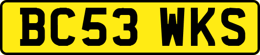 BC53WKS