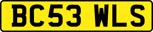BC53WLS