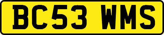 BC53WMS