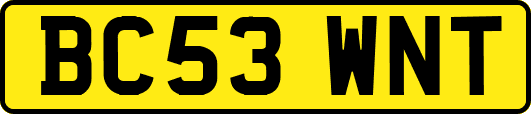 BC53WNT