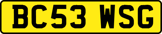 BC53WSG