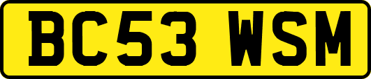 BC53WSM