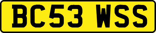 BC53WSS