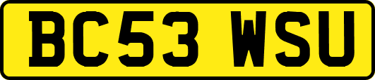 BC53WSU