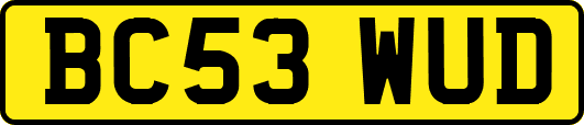 BC53WUD