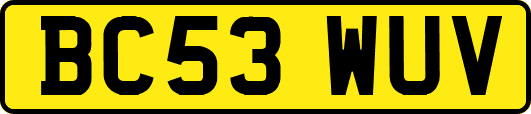 BC53WUV