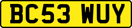 BC53WUY