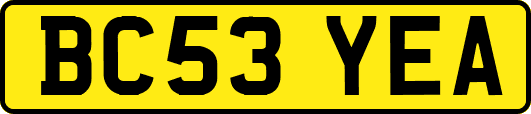 BC53YEA