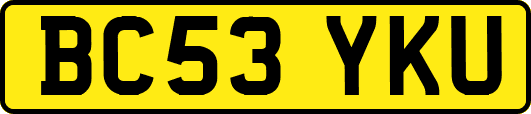 BC53YKU