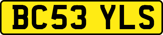 BC53YLS