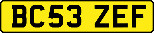BC53ZEF