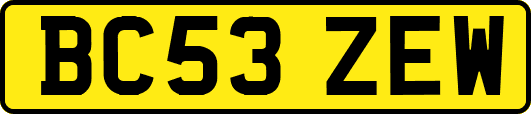 BC53ZEW