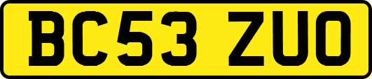 BC53ZUO