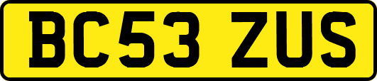 BC53ZUS