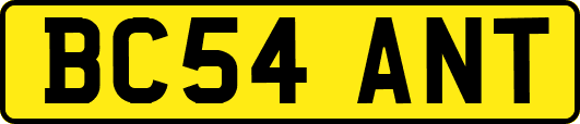 BC54ANT