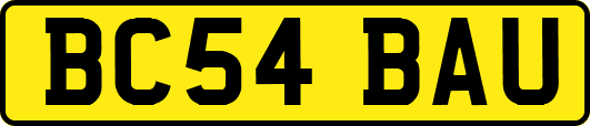 BC54BAU