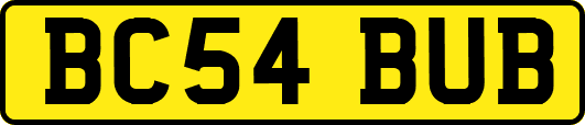 BC54BUB