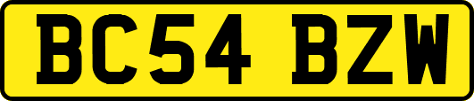 BC54BZW