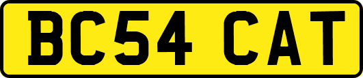 BC54CAT