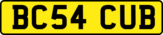 BC54CUB